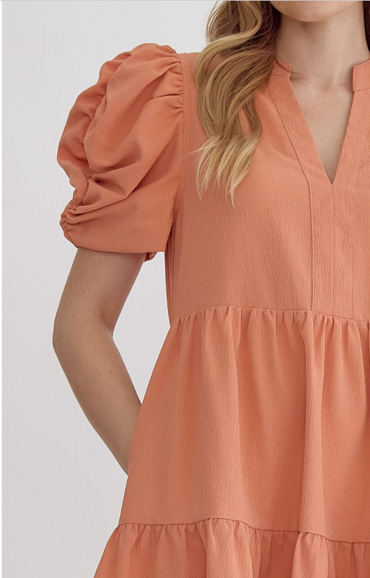 V-neck puff sleeve mini dress