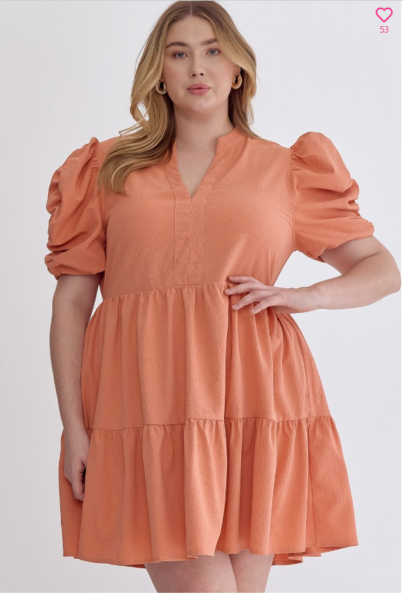 V-neck puff sleeve mini dress