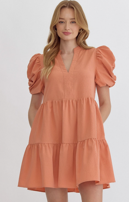 V-neck puff sleeve mini dress