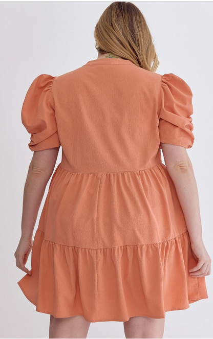 V-neck puff sleeve mini dress