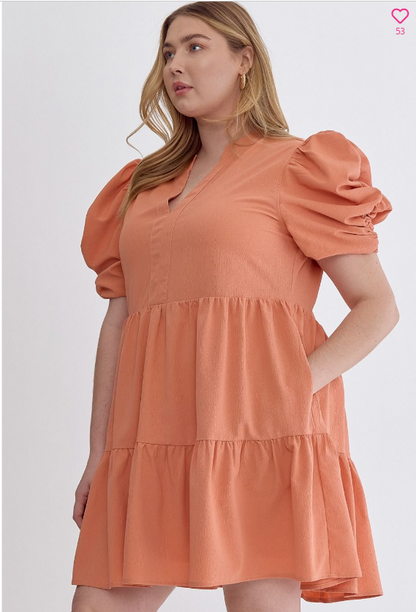 V-neck puff sleeve mini dress